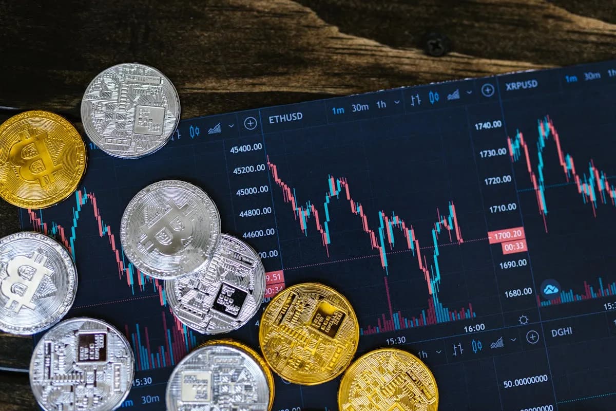 Crypto Signals for Beginners: A Practical Guide